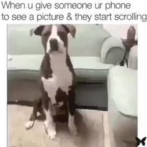 Meet your Posher, Wil